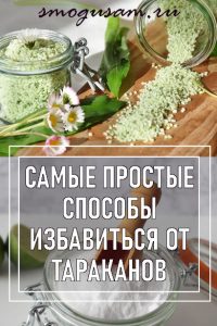 smogusam kak izbavitsya ot tarakanov