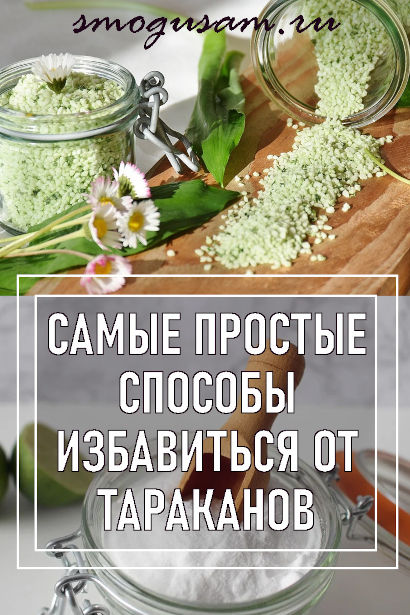 smogusam kak izbavitsya ot tarakanov