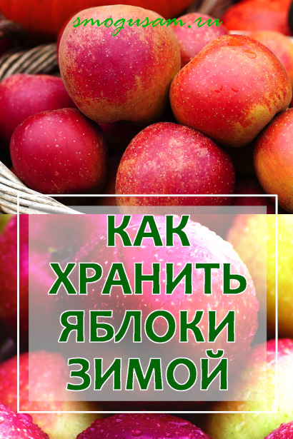 smogusam khranenie yablok