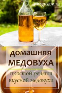 smogusam domashnyaya medovukha