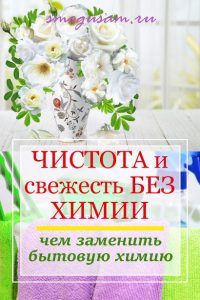smogusam.ru alternativa bytovoj khimii