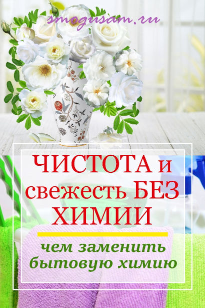 smogusam.ru alternativa bytovoj khimii