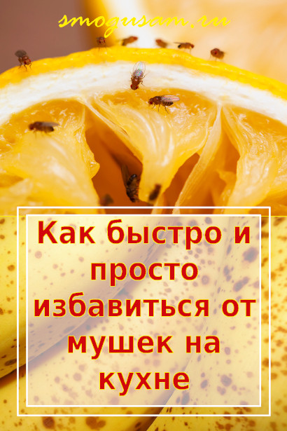 smogusam izbavlyaemsya ot mushek
