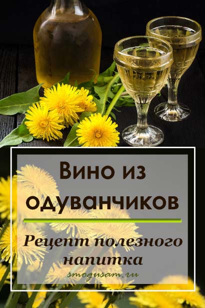 smogusam kak sdelat vino iz oduvanchikov
