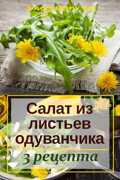 smogusam salat iz listev oduvanchika