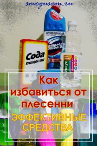 smogusam.rU kak obrabotat dome ot pleseni