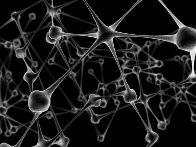 neurons