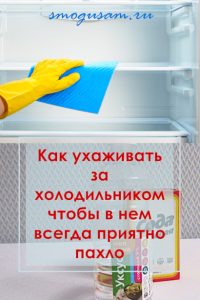 smogusam.ru kak ukhazhivat za kholodilnikom