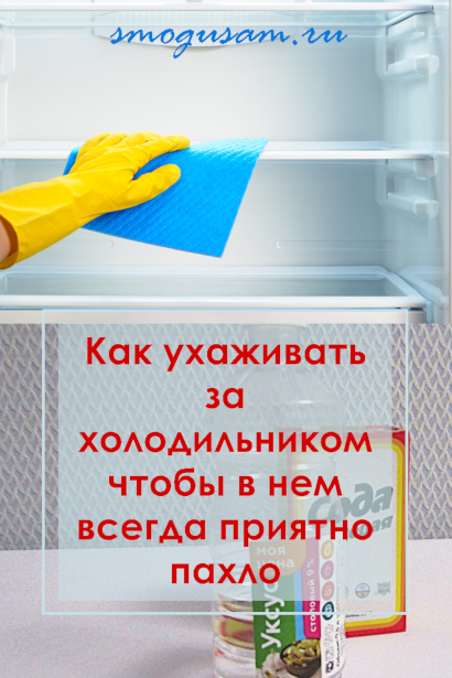 smogusam.ru kak ukhazhivat za kholodilnikom