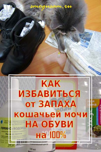 smogusam.ru izbavitsya ot zapakha koshachej mochi