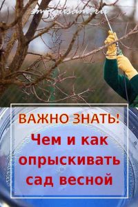 smogusamru opryskivanie derevev