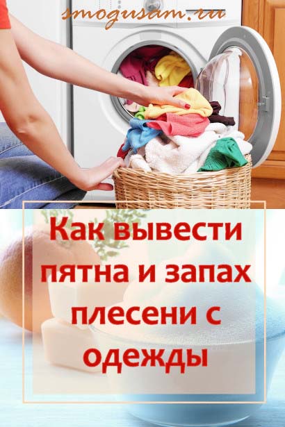 smogusam kak vyvesti pyatna pleseni