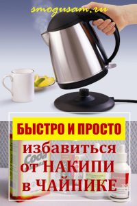 smogusam kak izbavitsya ot nakipi v chajnike