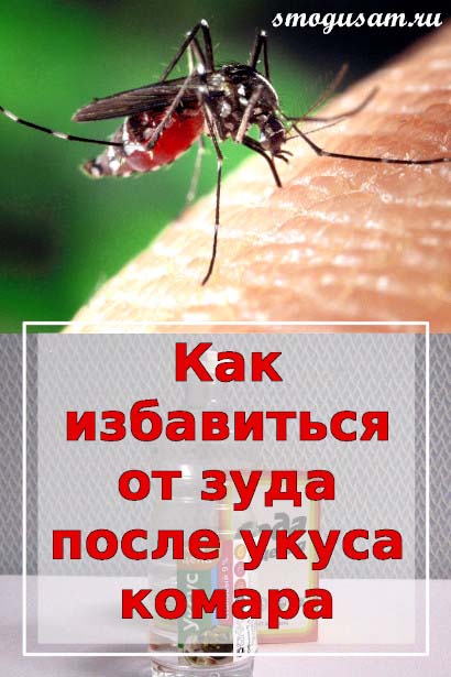 smogusam ot ukusov komarov