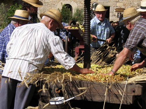 cider
