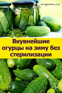 smogusam ogurtsy na zimu