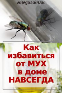 smogusam kak izbavitsya ot mukh
