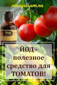 smogusam polza joda dlya tomatov