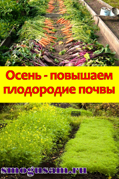 smogusam uluchshaem plodorodie pochvy