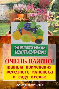 smogusam zheleznyy kuporos
