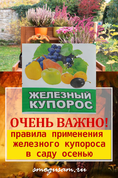 smogusam zheleznyy kuporos