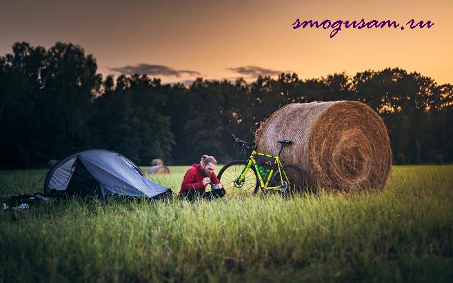 smogusam.ru priroda komary