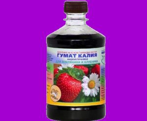 smogusam.ru kabachki