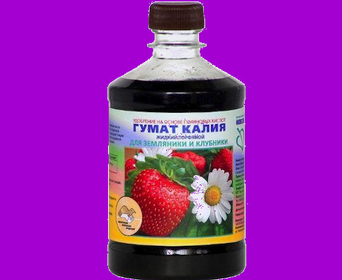 smogusam.ru kabachki