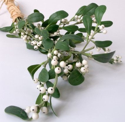 omela belaia